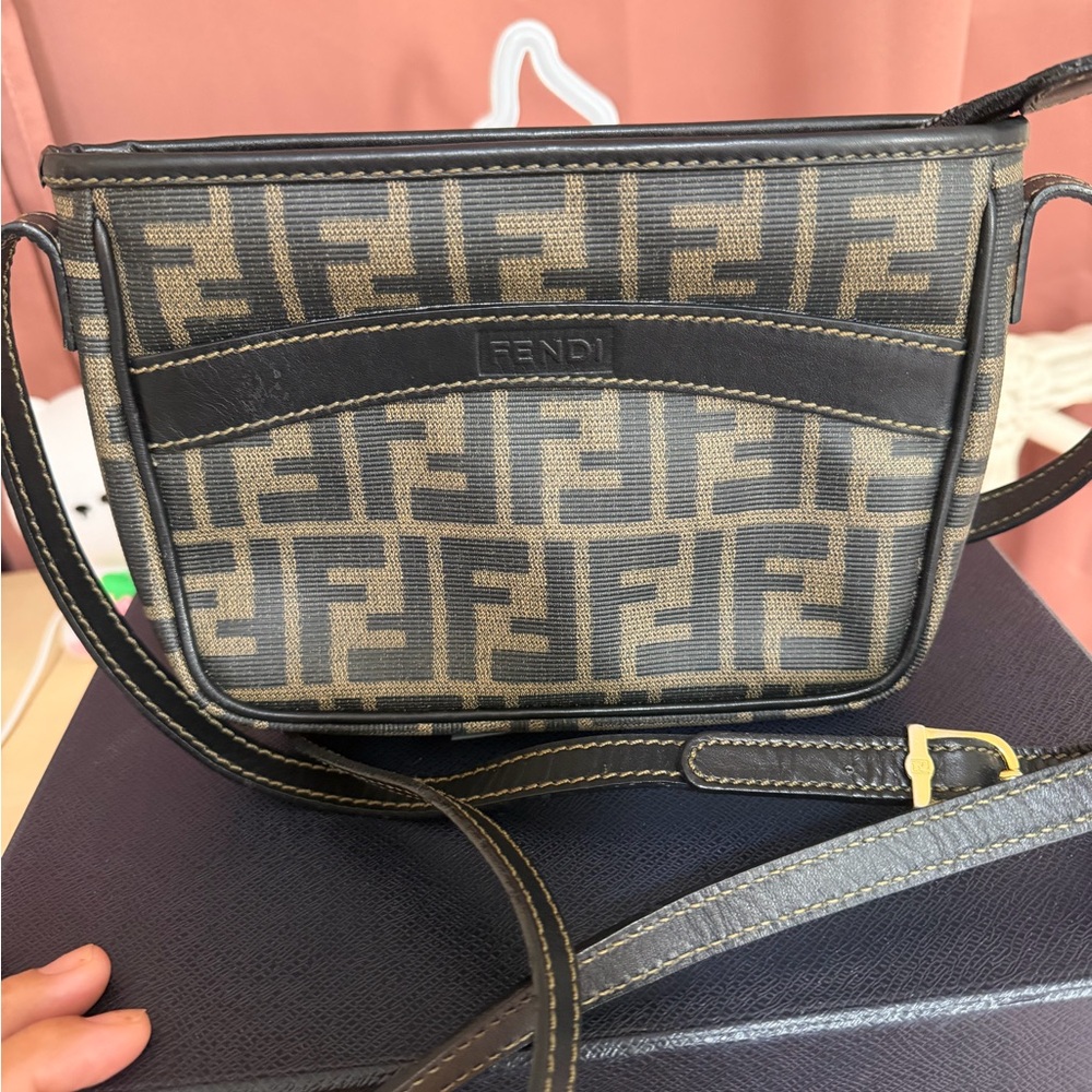 Fendi Monogram Crossbody Bag in Brown and Black